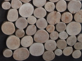 Mosaic Tile - sliced wood